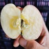 甜到颤抖，美到惊艳-陕西洛川高山富士苹果 商品缩略图1