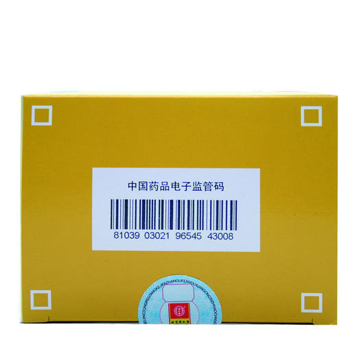 补中益气丸 商品图4