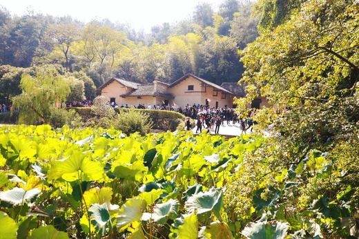 【部门活动】长沙、韶山2天高铁游 商品图6