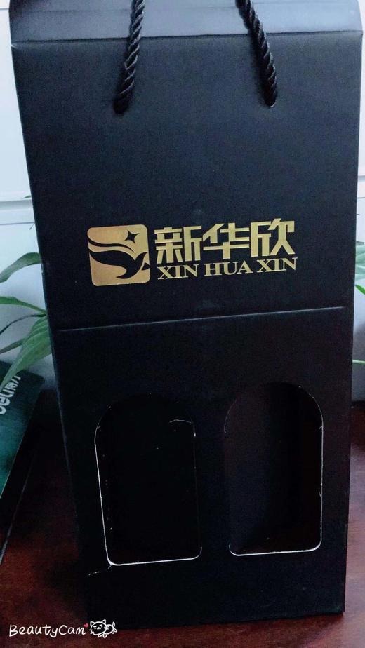 红葡萄酒袋子 手提袋10个（ 2支装） 商品图1