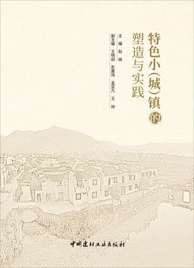 【正版现货】特色小(城)镇的塑造与实践  赵辉著  中国建材工业出版社
