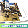 贝尔荒野求生少年生存小说拓展版06 狂鲨深海的复仇行动 商品缩略图3