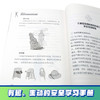 贝尔荒野求生少年生存小说拓展版13 骆驼戈壁的超导风波 商品缩略图4