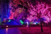【部门活动】醉美英西峰林走廊、洞天仙境玻璃栈道、九龙小镇（红色革命 旧址）、小布达拉宫彭家古堡、金紫山纪念园红色 2 天 商品缩略图2