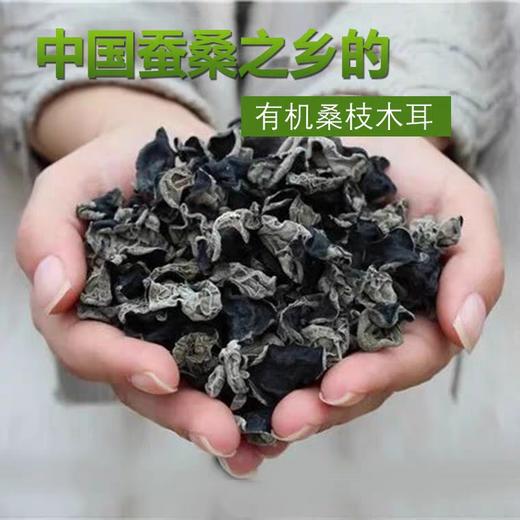 安徽岳西桑枝黑木耳袋装 商品图1