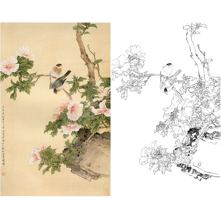 田世光工笔竖幅花鸟白描底稿-《扶桑梧桐》-多种白描尺寸可选-SG16