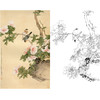 田世光工笔竖幅花鸟白描底稿-《扶桑梧桐》-多种白描尺寸可选-SG16 商品缩略图0