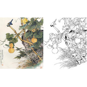 田世光工笔花鸟白描底稿-《子孙万代图》斗方小品册页-多种白描尺寸可选 -SG06