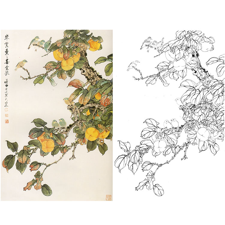田世光工笔竖幅花鸟白描底稿-《朱实累喜金秋》-多种白描尺寸可选-SG12