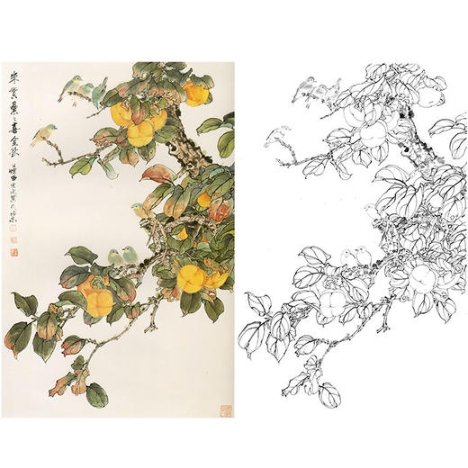 田世光工笔竖幅花鸟白描底稿-《朱实累喜金秋》-多种白描尺寸可选-SG12 商品图0