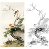 田世光工笔竖幅花鸟白描底稿-《同友图》-多种白描尺寸可选-SG21 商品缩略图0