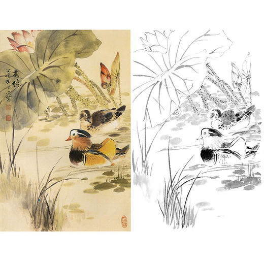 田世光工笔竖幅花鸟白描底稿-《相伴》-多种白描尺寸可选-SG07 商品图0