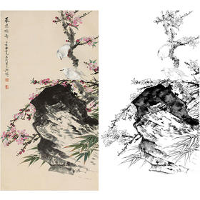 田世光工笔竖幅花鸟白描底稿-花鸟-SG15