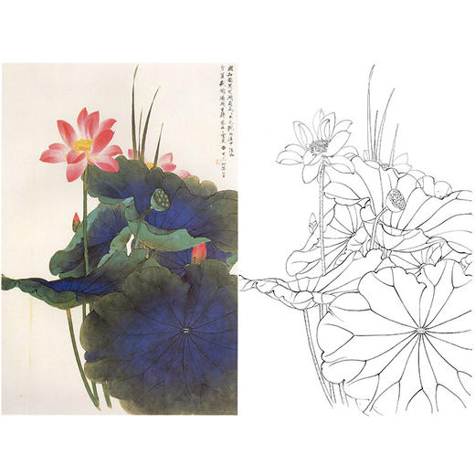 田世光工笔竖幅花鸟白描底稿-《颐和园盛夏图》-多种白描尺寸可选-SG08 商品图0