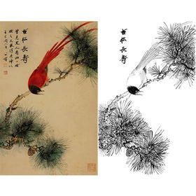 田世光工笔竖幅花鸟白描底稿-《古松长寿》-多种白描尺寸可选-SG01