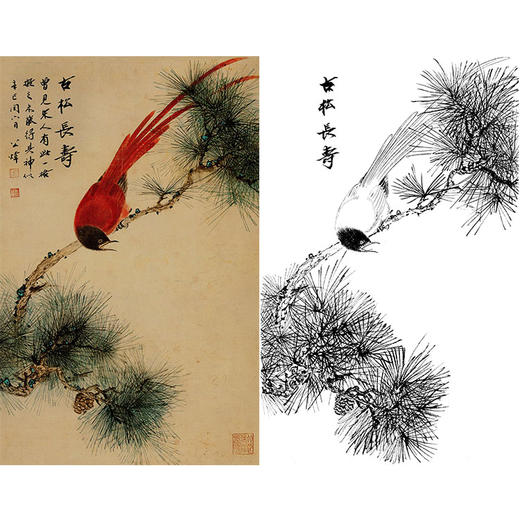 田世光工笔竖幅花鸟白描底稿-《古松长寿》-多种白描尺寸可选-SG01 商品图0