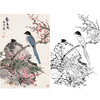 田世光工笔竖幅花鸟白描底稿-花鸟-SG14 商品缩略图0