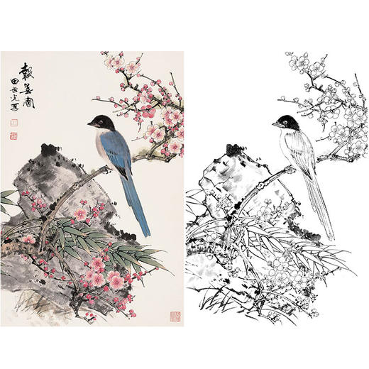 田世光工笔竖幅花鸟白描底稿-花鸟-SG14 商品图0