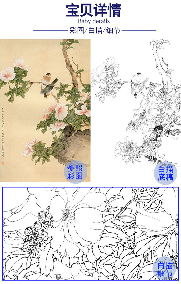 田世光工笔竖幅花鸟白描底稿扶桑梧桐多种白描尺寸可选sg16