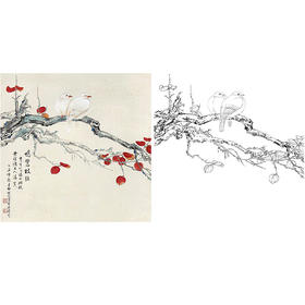田世光工笔花鸟白描底稿-斗方小品册页-SG03
