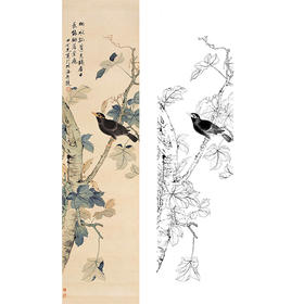 田世光工笔竖幅条屏花鸟白描底稿-花鸟-SG17