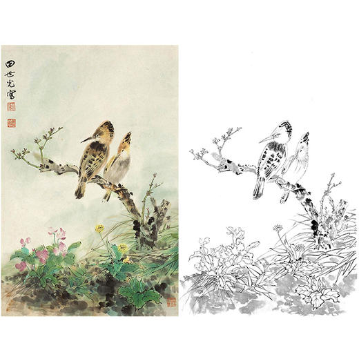 田世光工笔竖幅花鸟白描底稿-花鸟-SG10 商品图0