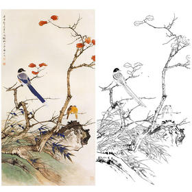 田世光工笔竖幅花鸟白描底稿-《秋意》-多种白描尺寸可选-SG18
