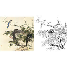田世光工笔花鸟白描底稿-《长寿高节》斗方小品册页-多种白描尺寸可选-SG13