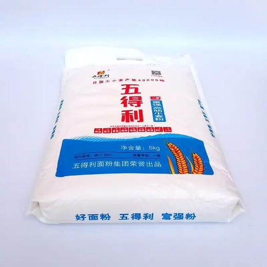五得利面粉 五星特精高筋小麦粉 包子馒头花卷面条5kg10斤 商品图2