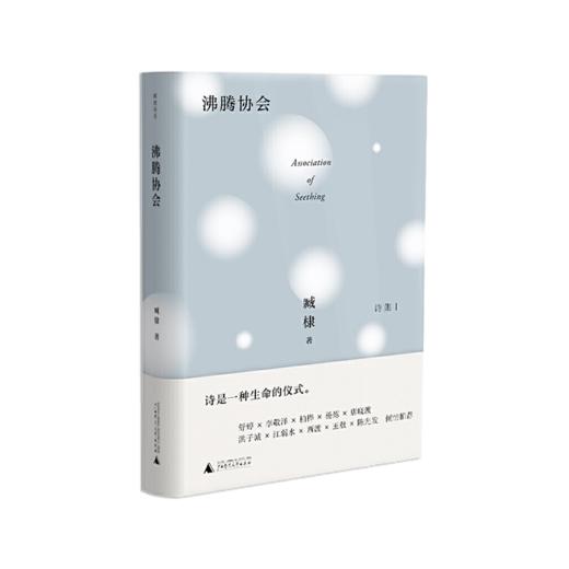 《臧棣诗系·沸腾协会》臧棣著（精装签名本） 商品图0