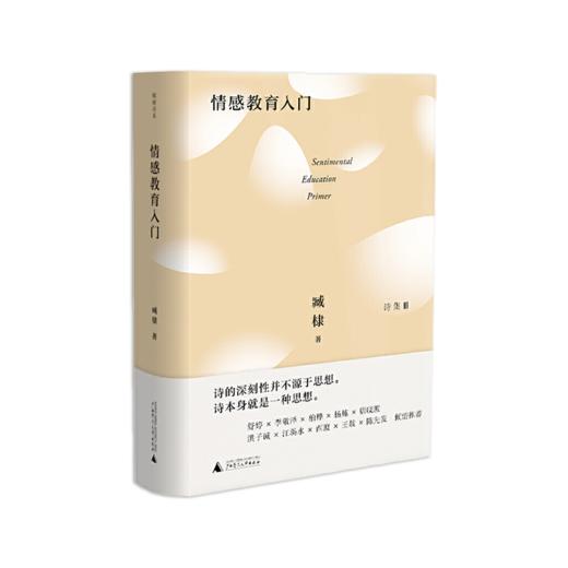 《臧棣诗系·情感教育入门》臧棣著（精装签名本） 商品图0