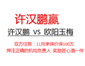 许汉鹏100万挑战欧阳玉梅（许汉鹏赢）