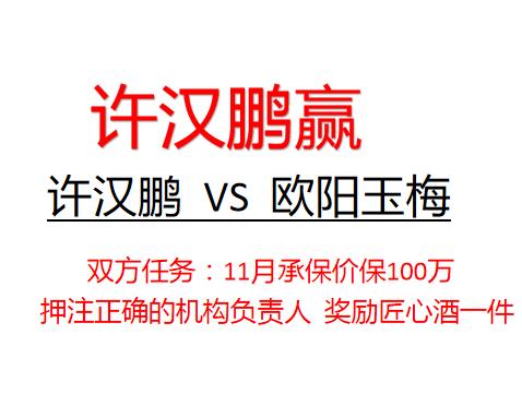 许汉鹏100万挑战欧阳玉梅（许汉鹏赢） 商品图0
