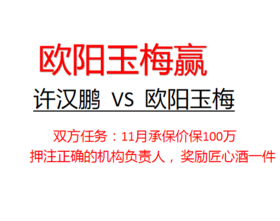 许汉鹏100万挑战欧阳玉梅（欧阳赢）