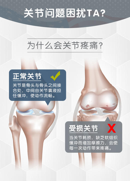 麦德氏IN-VET 鲨鱼软骨素  商品图4