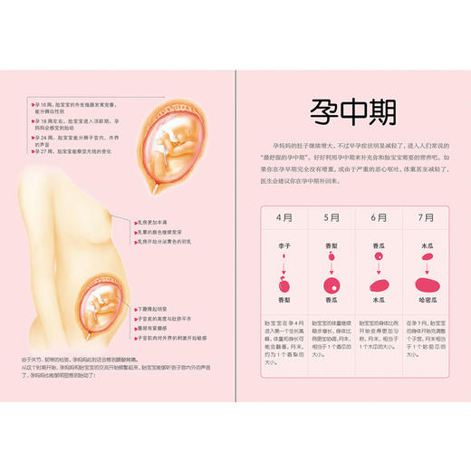 《怀孕每周吃什么》 商品图4