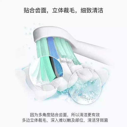 Bestlife/百灵K76系列 声波电动牙刷替换刷头 2支装 多色 商品图1