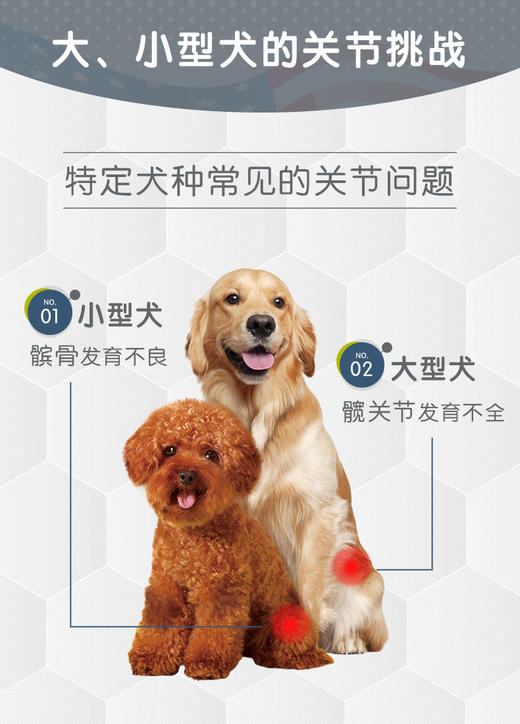 麦德氏IN-VET 鲨鱼软骨素  商品图5