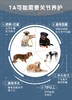 麦德氏IN-VET 鲨鱼软骨素  商品缩略图6