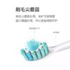 Bestlife/百灵K76系列 声波电动牙刷替换刷头 2支装 多色 商品缩略图2
