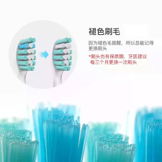 Bestlife/百灵K76系列 声波电动牙刷替换刷头 2支装 多色 商品图3