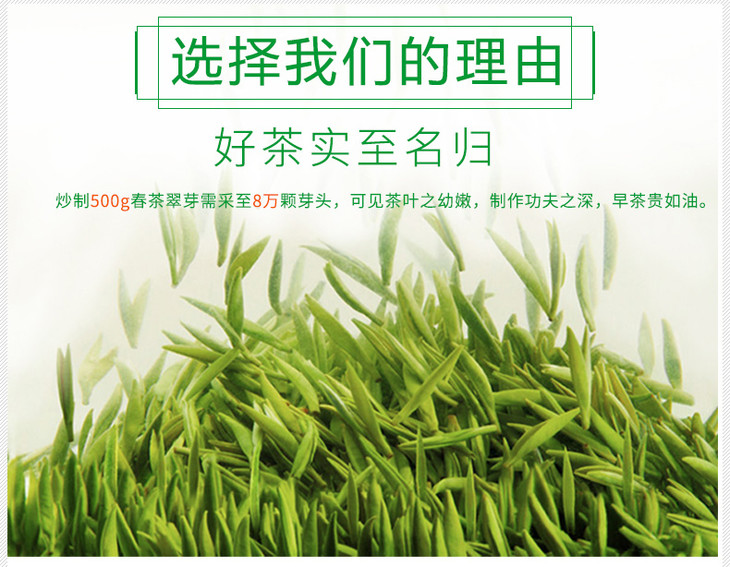 湄潭绿茶毛峰2020明前新茶贵州绿茶特级浓香散装名茶茶叶