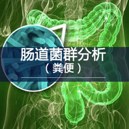 【Lawke】肠道菌群分析（1*粪便） 商品图0