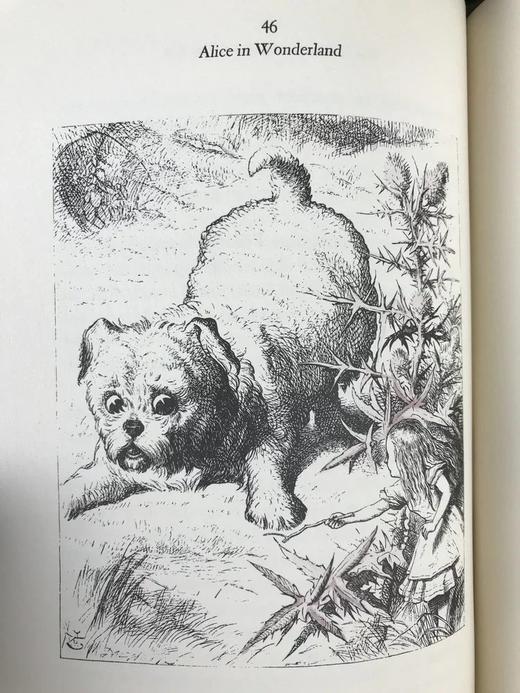 爱丽丝梦游仙境 约翰·坦尼尔经典插图 豪华皮装大32开 商品图9