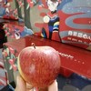 彝山冰糖心苹果 商品缩略图5