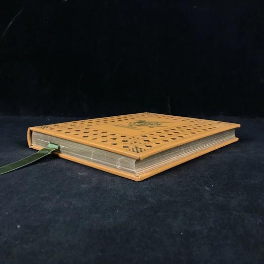 爱丽丝梦游仙境 约翰·坦尼尔经典插图 豪华皮装大32开 商品图1