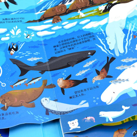 英国儿童科普探险阶梯书（套装3册） 商品图10