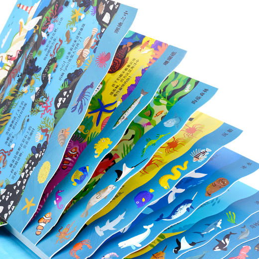 英国儿童科普探险阶梯书（套装3册） 商品图8