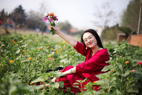 玫瑰色，为美而来