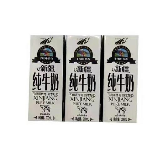 新疆子母河传奇纯牛奶200ml*12盒 商品图1